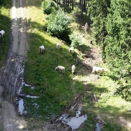 Vvf Les 7 Laux Massif De Belledonne 3*