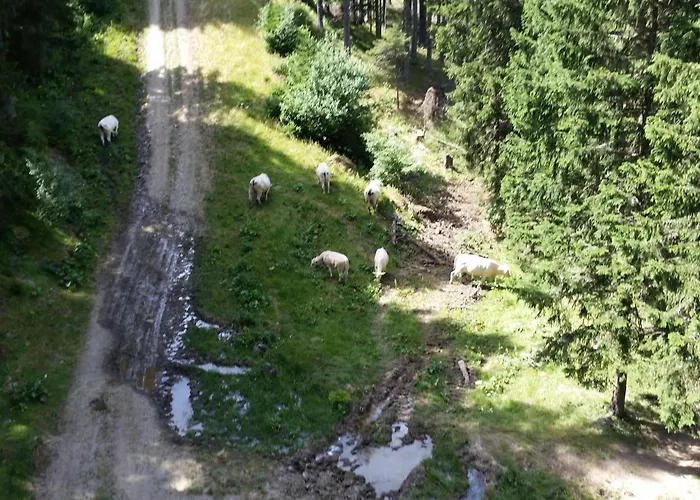 Vvf Les 7 Laux Massif De Belledonne 3*