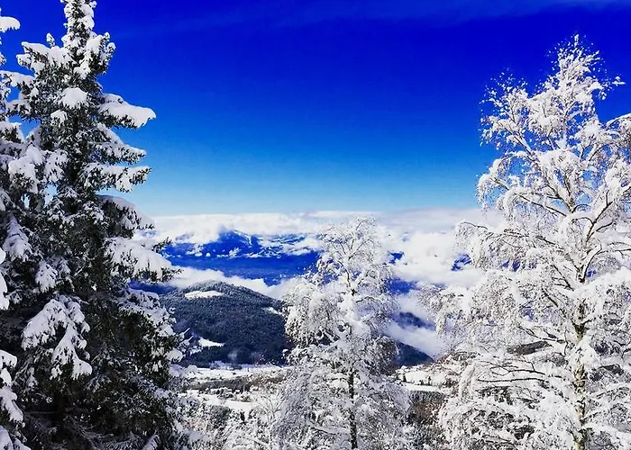 Vvf Les 7 Laux Massif De Belledonne Feriepark 3*